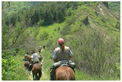 foto trekking cavallo